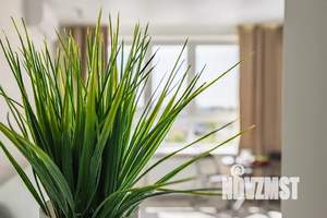 Студия квартира, посуточно, 30м2, 5/15 этаж