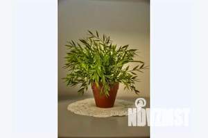 2-к квартира, посуточно, 43м2, 4/19 этаж