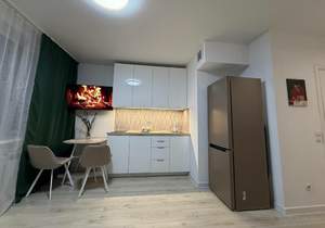 1-к квартира, на длительный срок, 22м2, 17/17 этаж