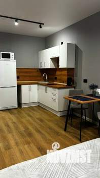 1-к квартира, посуточно, 30м2, 7/24 этаж