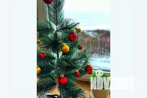 1-к квартира, посуточно, 30м2, 4/17 этаж