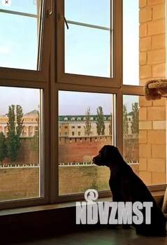 2-к квартира, посуточно, 50м2, 7/10 этаж