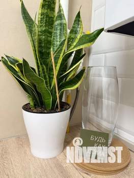 2-к квартира, посуточно, 46м2, 4/5 этаж