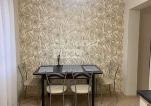 1-к квартира, на длительный срок, 43м2, 13/17 этаж