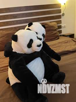 Студия квартира, посуточно, 28м2, 2/9 этаж