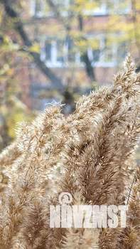 2-к квартира, посуточно, 44м2, 4/7 этаж