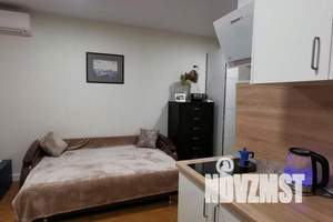 1-к квартира, посуточно, 24м2, 11/14 этаж