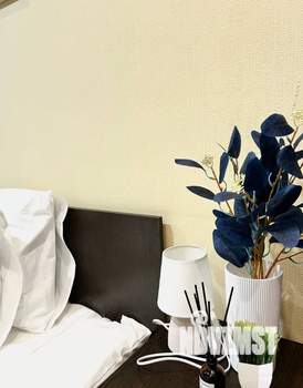 1-к квартира, посуточно, 18м2, 2/3 этаж