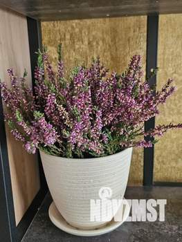 1-к квартира, посуточно, 25м2, 6/12 этаж