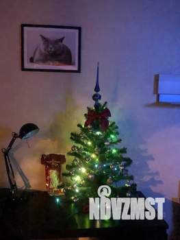 1-к квартира, посуточно, 38м2, 3/10 этаж