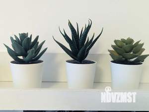 1-к квартира, посуточно, 32м2, 2/10 этаж