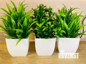 Студия квартира, посуточно, 21м2, 10/14 этаж