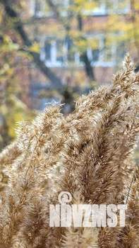 2-к квартира, посуточно, 43м2, 1/1 этаж