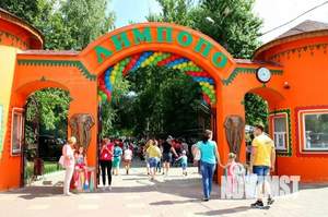 Студия квартира, посуточно, 28м2, 3/11 этаж