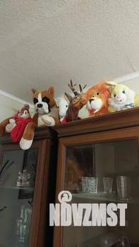 2-к квартира, посуточно, 38м2, 4/9 этаж