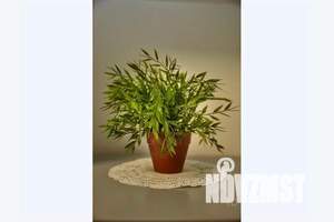 2-к квартира, посуточно, 43м2, 4/19 этаж