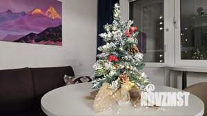 1-к квартира, посуточно, 47м2, 7/17 этаж