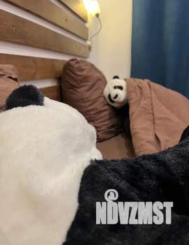 Студия квартира, посуточно, 28м2, 2/9 этаж