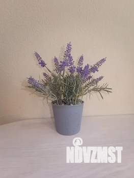 1-к квартира, посуточно, 35м2, 15/24 этаж