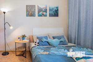 Студия квартира, посуточно, 24м2, 6/17 этаж