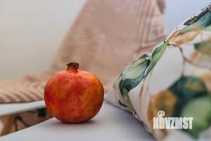 Студия квартира, посуточно, 20м2, 16/19 этаж