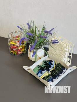 Студия квартира, посуточно, 24м2, 4/19 этаж