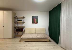 1-к квартира, на длительный срок, 22м2, 17/17 этаж