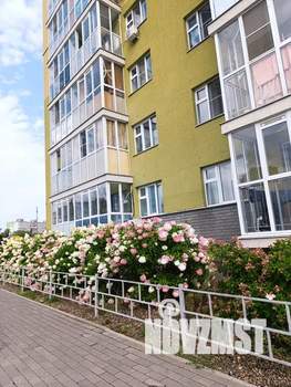 Студия квартира, посуточно, 19м2, 9/17 этаж