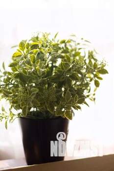 1-к квартира, посуточно, 60м2, 1/1 этаж