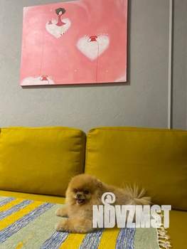 2-к квартира, посуточно, 35м2, 2/5 этаж