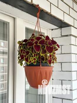 1-к квартира, посуточно, 49м2, 5/10 этаж