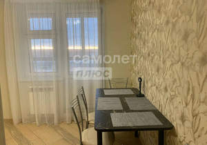 1-к квартира, на длительный срок, 43м2, 13/17 этаж