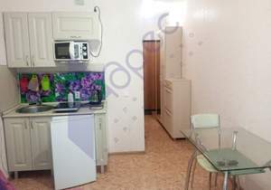 Студия квартира, на длительный срок, 20м2, 15/17 этаж