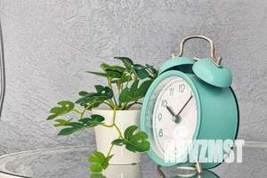 1-к квартира, посуточно, 26м2, 16/19 этаж