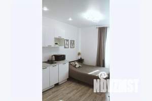 1-к квартира, посуточно, 22м2, 7/24 этаж