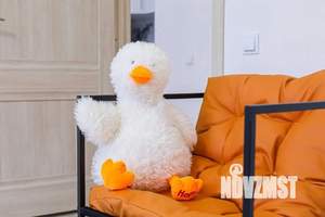 1-к квартира, посуточно, 43м2, 1/1 этаж