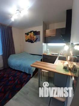 Студия квартира, посуточно, 20м2, 8/10 этаж