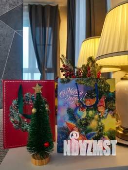 Студия квартира, посуточно, 25м2, 4/8 этаж