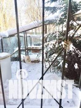 1-к квартира, на длительный срок, 26м2, 1/2 этаж