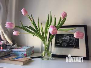 Студия квартира, посуточно, 32м2, 5/5 этаж