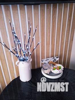 Студия квартира, посуточно, 20м2, 4/5 этаж