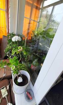 1-к квартира, вторичка, 30м2, 4/5 этаж