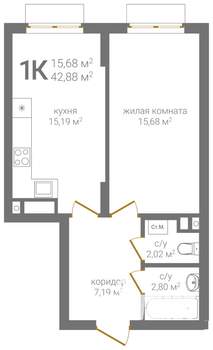 1-к квартира, вторичка, 43м2, 2/19 этаж