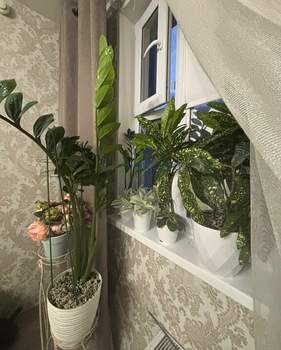 1-к квартира, вторичка, 33м2, 12/18 этаж