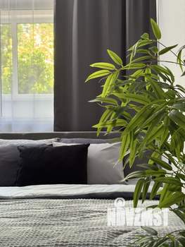 Фото квартиры на продажу (8)