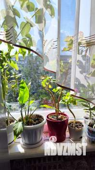 3-к квартира, вторичка, 61м2, 7/9 этаж