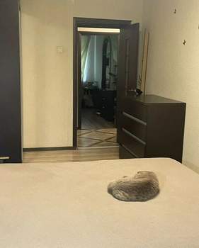 2-к квартира, вторичка, 44м2, 1/5 этаж
