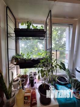 1-к квартира, вторичка, 31м2, 5/5 этаж