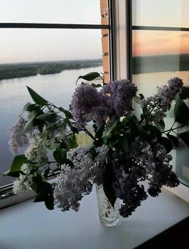 3-к квартира, вторичка, 99м2, 16/19 этаж