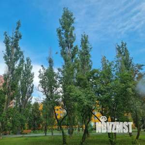 3-к квартира, вторичка, 50м2, 5/5 этаж